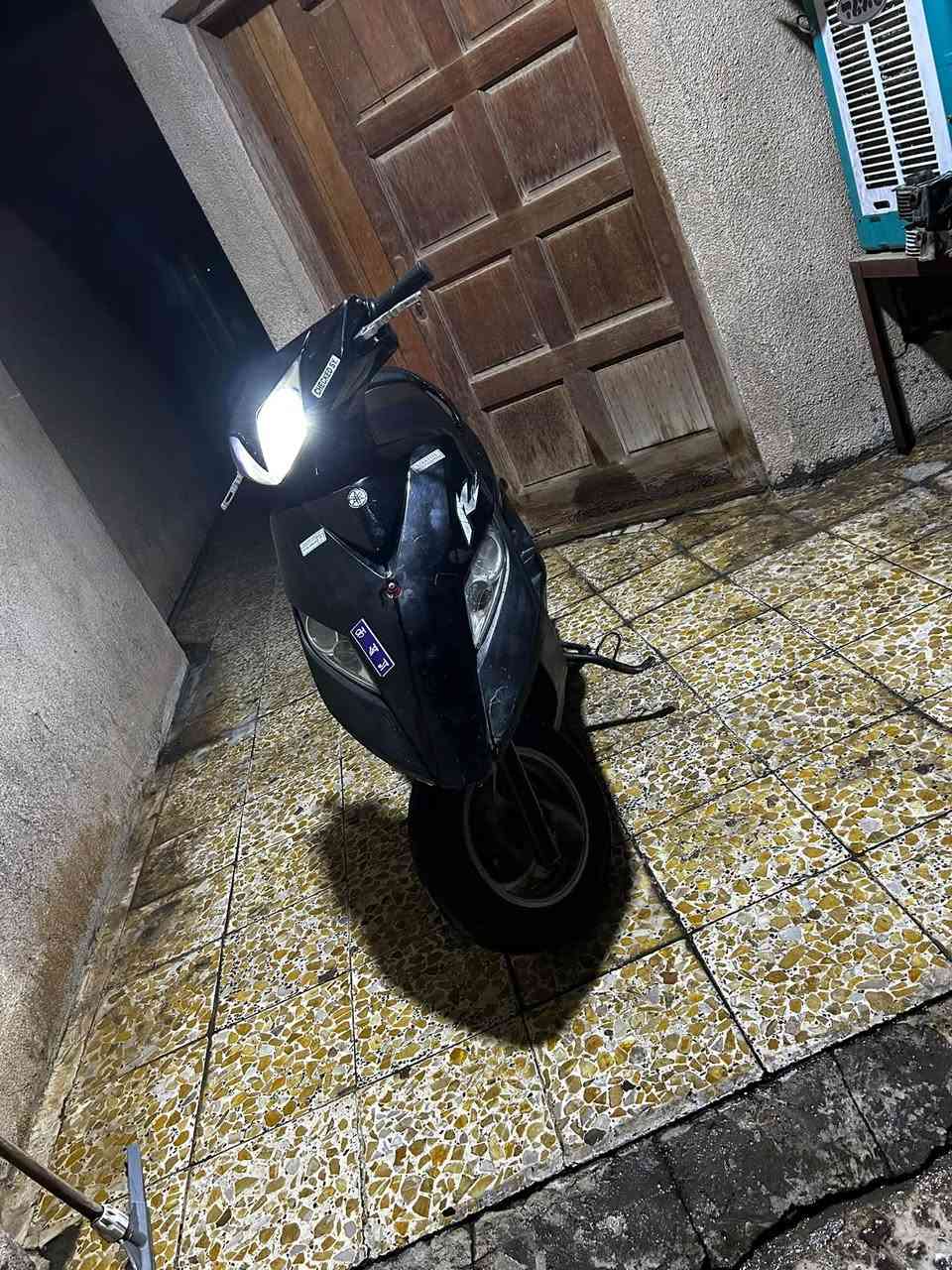 ماكس ثعلب • ٦اشهر • ساحة عدن