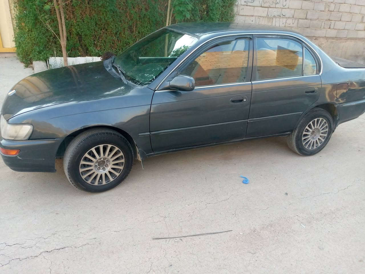 كورلا موديل 1991بغداد مشروع وطني باسمي سنوية لل28هزة شهر ال5بل27يلة تسقط مكاني بعقوبة التحرير السعر 48وبيه مجال رقم التلفون ***********
