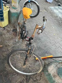 باسكل • نظيف • شاميه