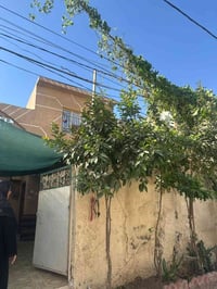 شفته قرب الفلكه • ١٤٧م • طابو ملك صرف