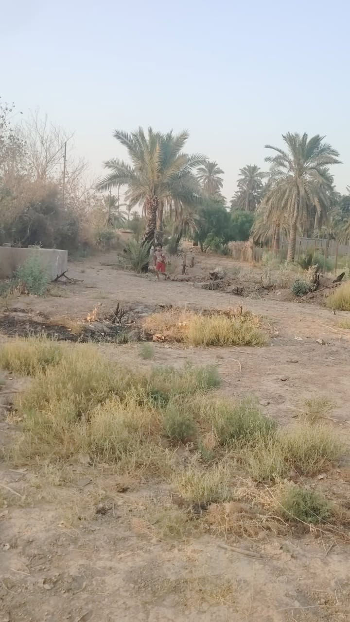 دونم • الزعفرانية • على فرع دجلة