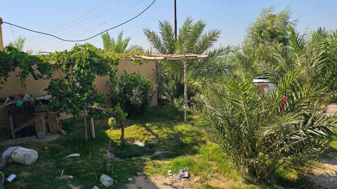 عقار  في كربلاء💯
✅️دونمين للبيع واجهه 24 متر 
وجه على بزل رئيسي مباشر 
مع بيت مساحة البيت 400 متر 
غرف نوم عدد خمسة سويت 
استقبال، صالة، مطبخ، صحيات 

✅️متوفرة كافة الخدمات
، ماء، كهرباء، مدارس 
طابو سند 25 تحويل أسهم 

✅️الموقع كربلاء - منطقة الجذار 
شارع نجف كربلاء عمود 1141
يبعد عن شارع التبليط 500 متر 
يبعد عن شارع الزوار  5 كيلو 
يبعد من مركز مدينة كربلاء 15 كيلو

💰السعر 250 مليون  عقاري كربلاء 

📍فقط العنده فلوس وجاهز للشراء يتصل 

📞 ***********
