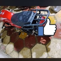 شاينك • كامله • زينون