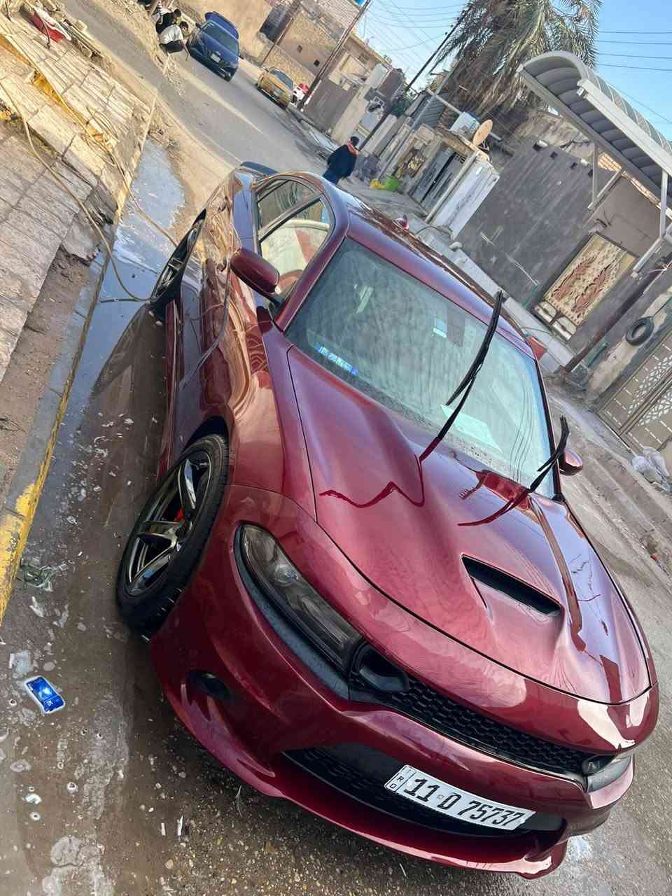 اسكات باك • ٢٠١٩ • رقم بغداد