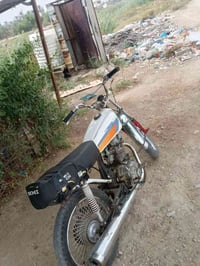 ارشه • ستوته • كهربايات شغاله