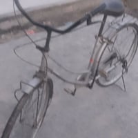 باسكل • مقاس ٢٦ • شركة