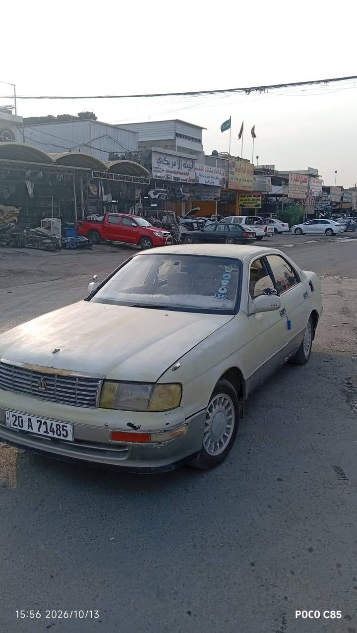 بطه • ابيض لؤلؤي • بغداد البياع