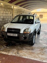 توسان ٢٠٠٩ • مكفول صبغ • بغداد ٢٠٣٠