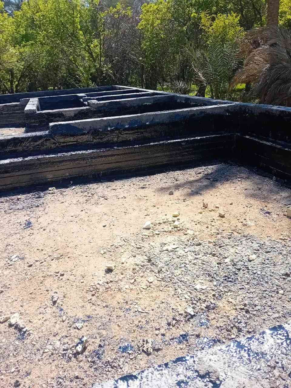 تعلن سكلة  المنكوشي لبيع الجير في كربلاء في اسعار مناسبه الاستفسار الارقام الهاتفيه /***********×××***********
