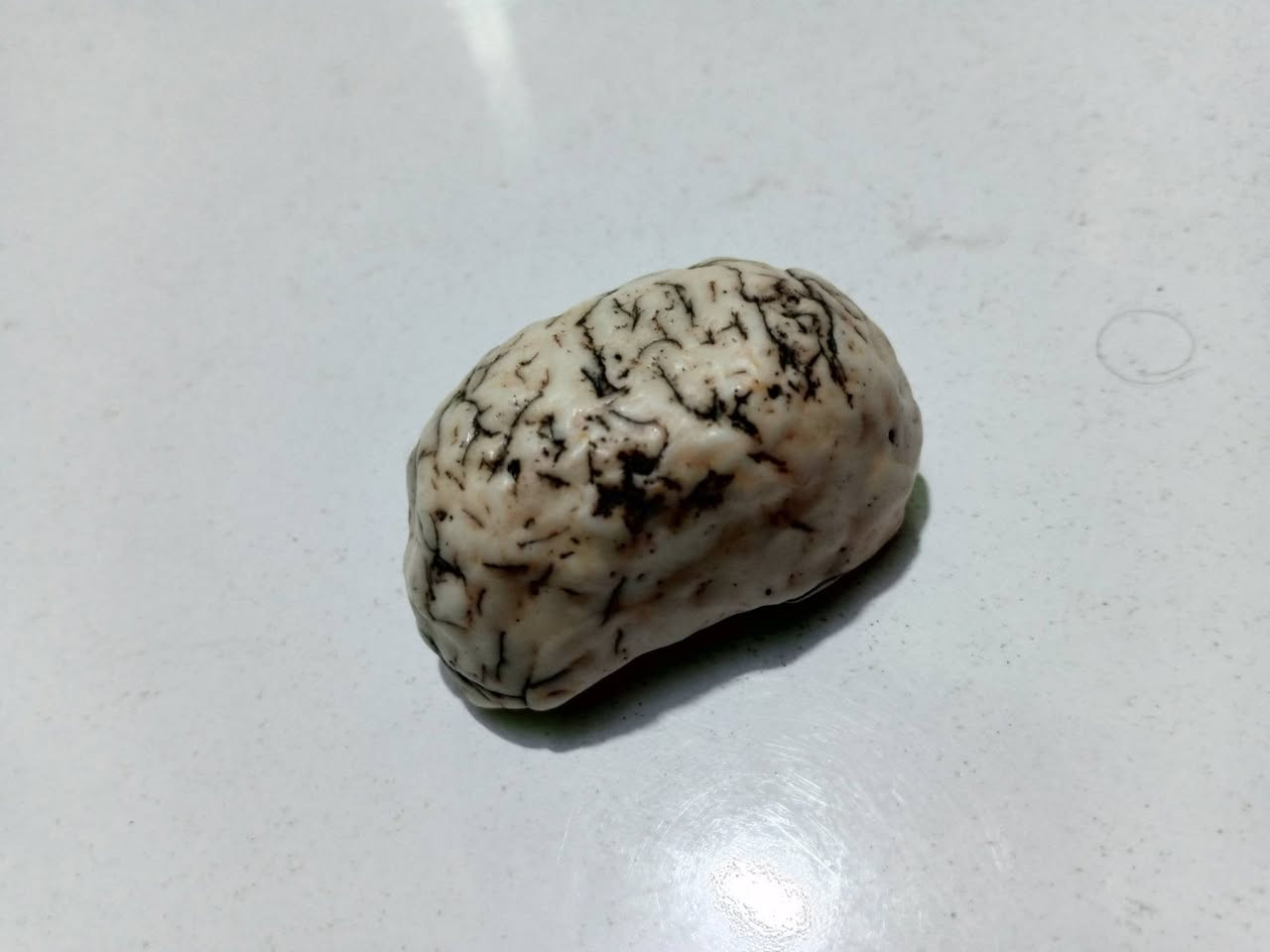الفيروز الابيض مصور مخ وابوال اسود مع الشهاده الصوره ما واضحه وحلقه للبيع مكاني حله حي الصحه رقمي***********
