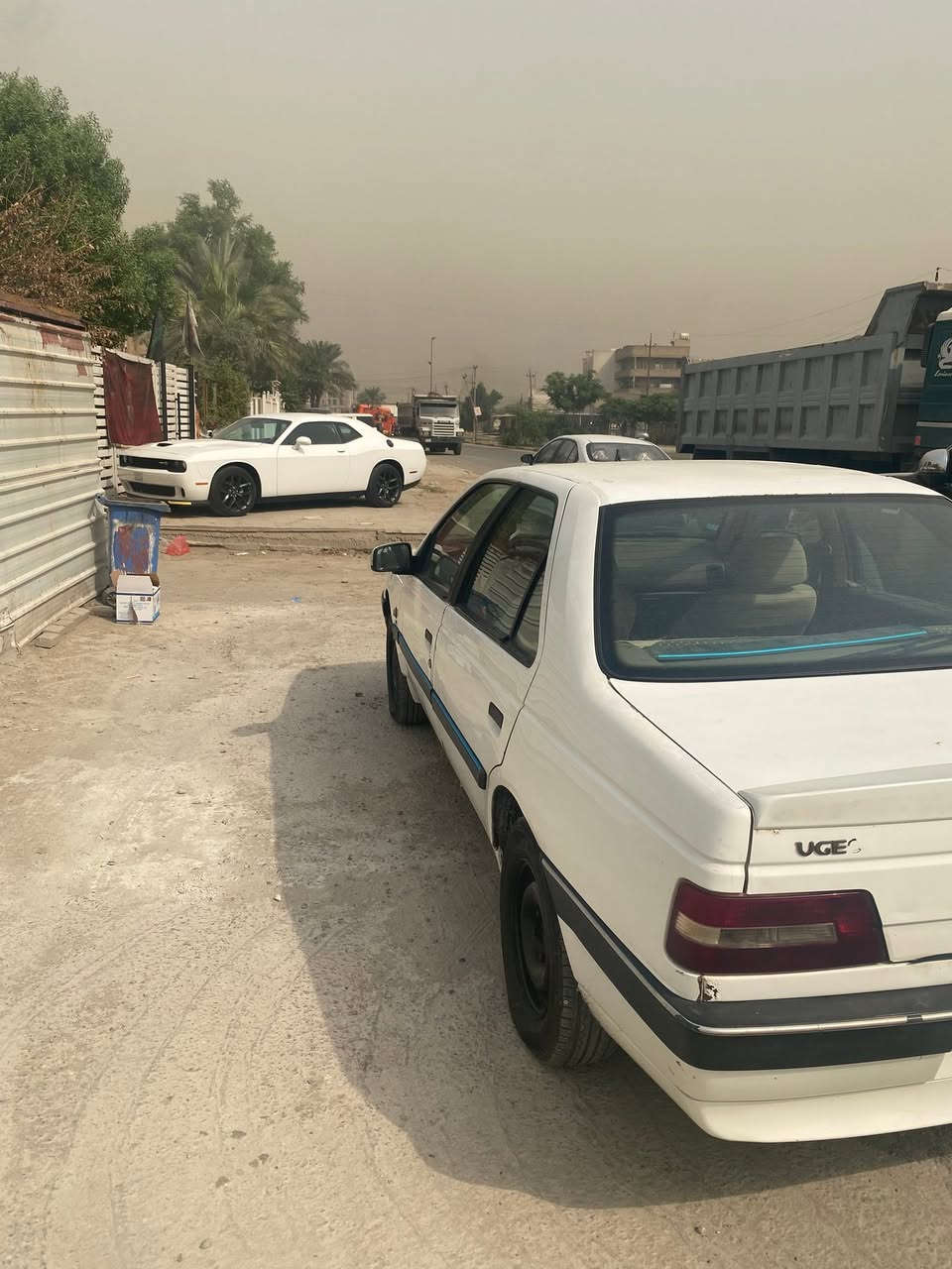 لميس ٢٠١٣ • كفالة عامة • لا صبغ ولا ضربة