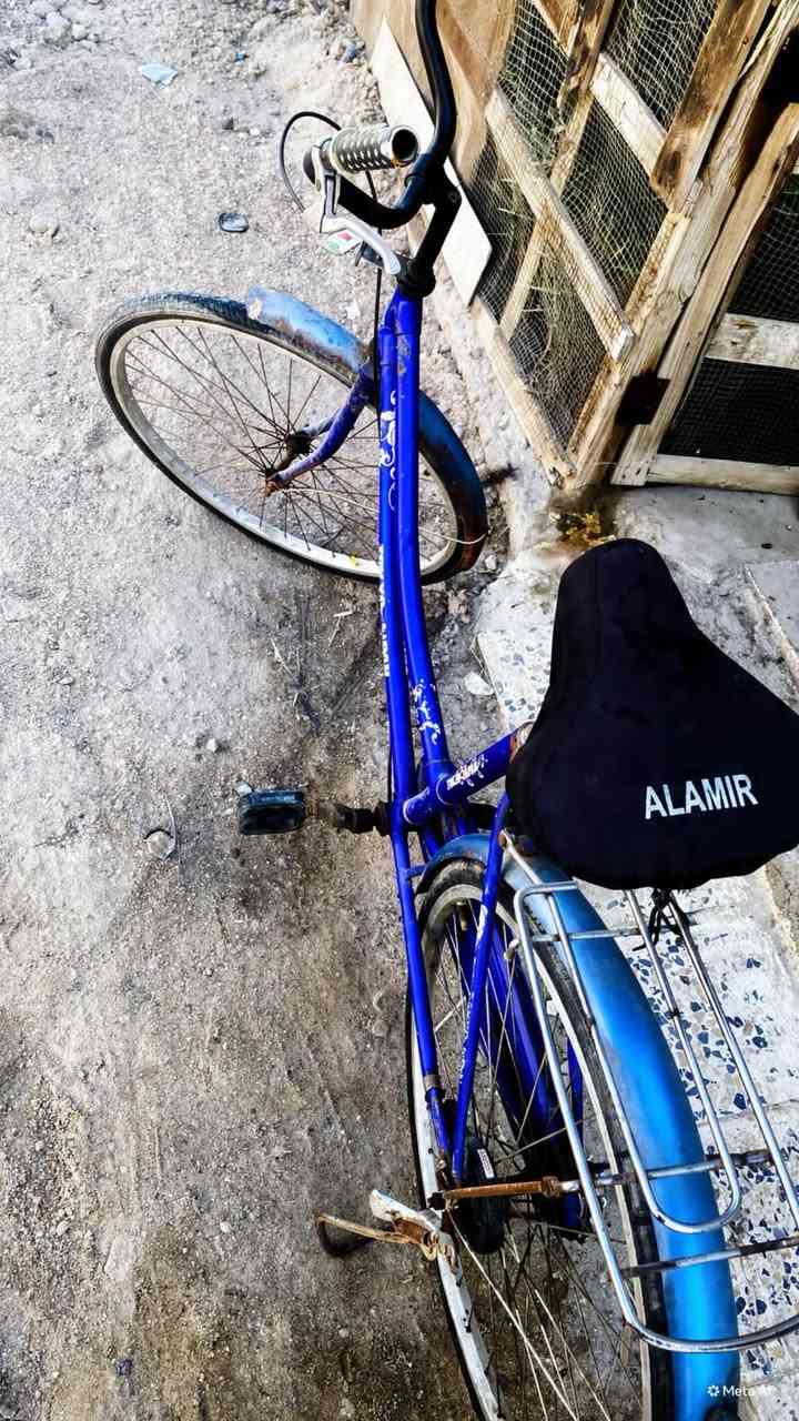 باسكل لبيع نضيف كلش كلشي ما بي باسكل حجم 26سعره 75وبي مجال لطيبين المكان ابصره ابي خصيب متواجد واتساب #***********@
