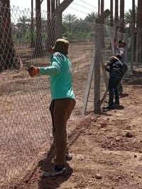 أسيجة BRC • تركيب • جميع المحافظات