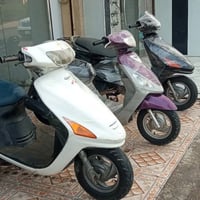 فراشه • ماكس • كفاله