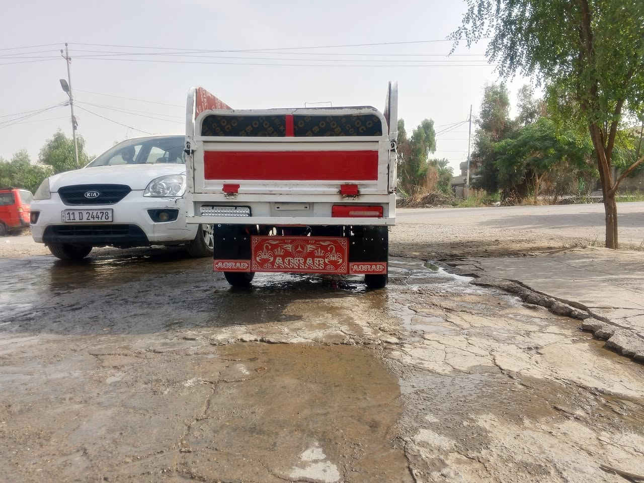 ستوته • موديل ٢٠ • اوراق جنوبي