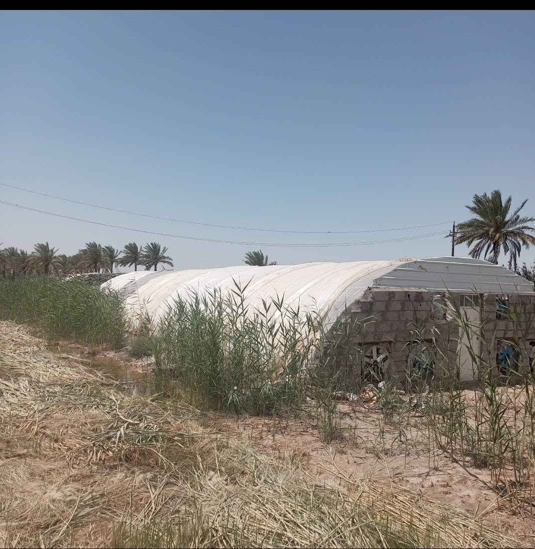 السلام عليكم 
عندي قاعه دجاج للبيع كامله مع ملحقاتها 
قاعه غراضها نضيفه كلش 
مستخدمات 25يوم فقط 
المكان واسط سيطره اللج 
شغله مرتبه ونضيفه للشراي 
هاتف***********
