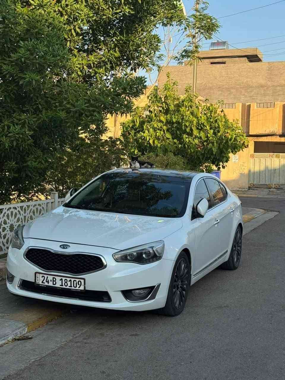السلام عليكم
وين عشاق الكادنزا 😍
للبيع كادينزا 2014 خليجي ملكي 

رقم دهوك تحويل ثاني يوم ✅

سيارة جديده ع أيدي ✅

مكفوله كفاله عامه ✅
حته الدعاميات مكفوله ✅

1-حجم المحرك 6 سلندر 3500.✅

2-بنوراما ثلاث طكات ✅

3-بصمة ابواب وجنطه.✅

4-منظومة زينون 300$ شديت الها ✅

5-كشنات جلد ملكي ✅

6-تحكم ستيرن جهيتن.✅

7-كامرة خلفي دوارة.✅

8-كشنات كهرباء.✅

9-تدفئة الكشنات مع التبريد.✅

10-تبريد مناخي منفصل.✅

11-شاشة تحكم ايعازات السيارة✅

12- جام الامامي اوتو ✅

13-الماسحات نضام ذاتي بالمطر ✅

14-سماعات انفنتي 12 ✅

15-اتو هلود نضام التوقف الذاتي✅

16-سايد بريك كهرباء ✅

17-حساسات خلفية✅

18-كشن خزن موميري ذاكره✅

19-زراك لايت.✅

20-شفتات كير رياضي خلف المقود✅

21-برده خلفيه كهرباء أوتوماتيك ✅

22-مري شفط مع الترحيب ✅

23-ترحيب ليزري لعتب السياره✅

24-المري الجانبيه قلاب عند البك✅

السياره جديده وعليه ادامه كامله
السعر 145وبي مجال 
مكاني الرمادي 
للاستفسار ***********
