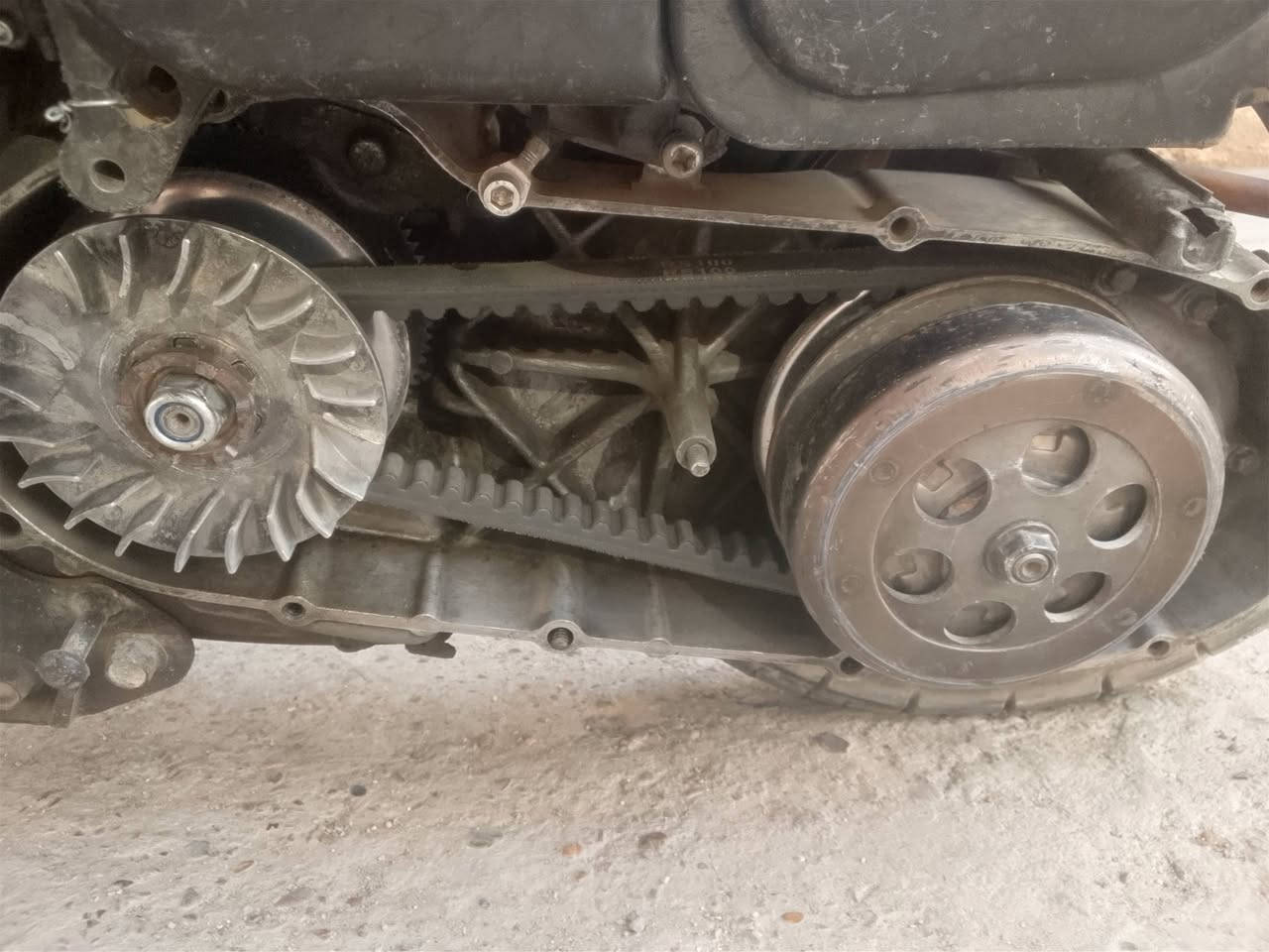 ماكس عدله مال لعب للبيع الدراجه شغاله ما بيهه اي شي نكره سلف بكل وكت نقصهه هندر والدراجه بوشه 49 مفتوحه و الدراجه ناعمه تخبل 
السعر 250 قفل🔒
مكاني بغداد البياع 
الرقم *********** واتساب
