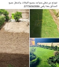 لا توجد تفاصيل