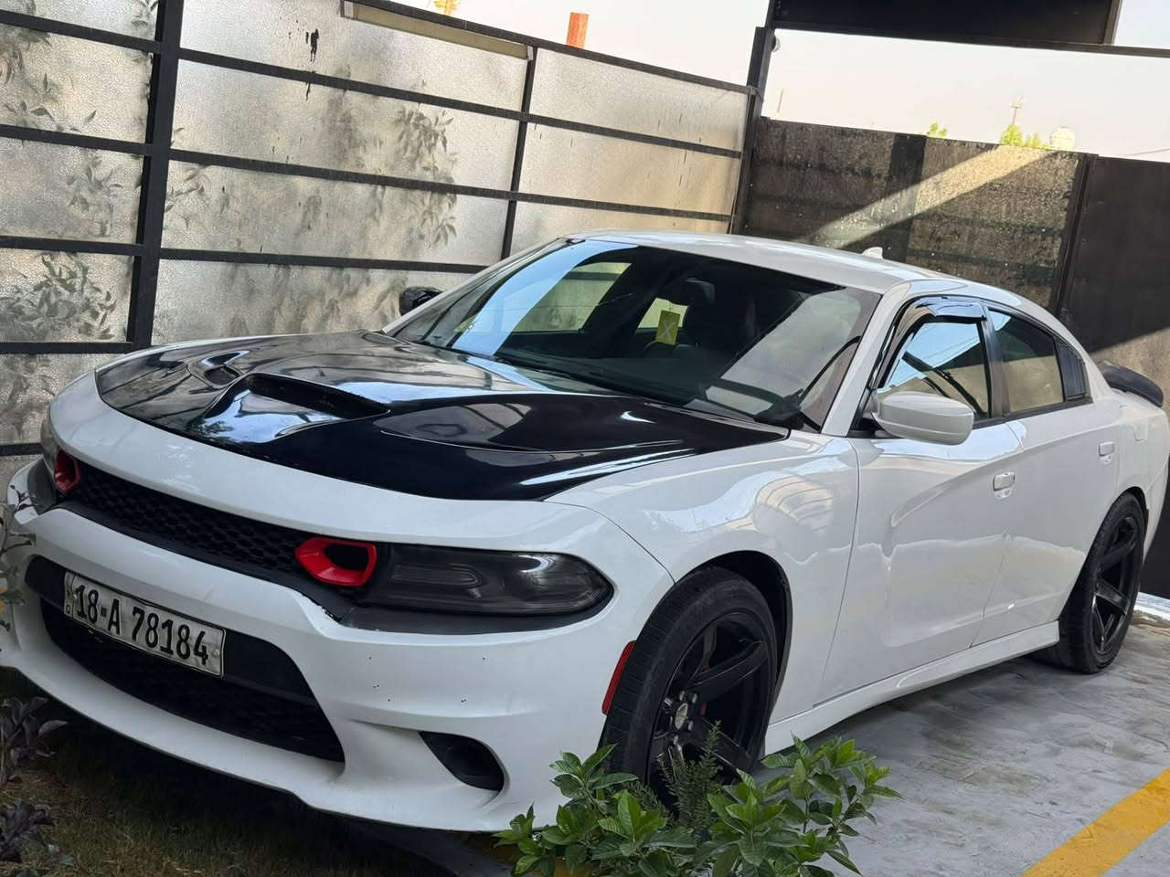 السلام عليكم المحروسه للبيع 
موديل ٢٠١٥ فول عده الفتحه 
شاشه دوج چارجر 5.7 HEMI 🔥
• مكينة 5.7 V8 HEMI
• ذاكرة مقعد + مرايات
٠تدفئه وتبريد كشنات 
• شاشة Uconnect
• كاميرا خلفية
• تحكم بالمقود
• تكييف أوتوماتيك
• مقاعد كهربائية
ستيرن تدفئه وتبريد 
.خزن ميموري
.ترايك وين متريد جاهزه 
رقمهه بابل مشروع وطني يعني بأي مكان تتحول 
باسمي ثاني يوم احولك 
حماوه ٩٨ ابد متصعد تبريد ثلج
رايدهه ب١٤٨ وبيهه مجال 
مكاني حي التراث مال بياع قرب تقاطع درويش 
‏‏‪***********‬‏ رقمي بس واتساب
