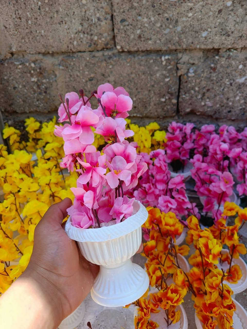 🥰🥰🌹🌹سعر القطعه مفاجئه🫷🏻 1000دينار فقط🫸🏻
#العنوان #مقابل #قطاع #حي #السرور🌺💐🌹
#مجمع #دانية #بأدارة اسحاق 💐💐💐
رقم الهاتف 🫷🏻***********🫸🏻🌹
