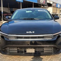 ٢٠٢٥ • وارد امريكي • مصلح ومصبوغ