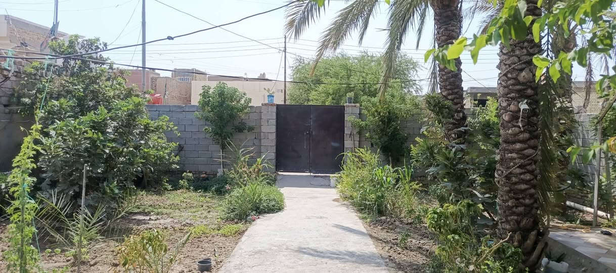 ✅بيت طابو صرف للبيع
✅المساحة الي مسجله بطابو 182

✅ واقع حاله 400متر 
✅يحتوي على 3غرف نوم 
✅ستقبال +مطبخ +صحيات داخل  وخارج 
✅صاله دبل مع حديقه مثل مواضح بل فيديو 
✅عرض الشارع 15متر 
✅صوب بني ركاب قرب مدرسة الامنار الهليه 
☎️الاتصال على الرقم ***********
