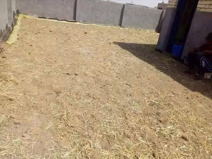 زفت • تهوير • تأجير ونش