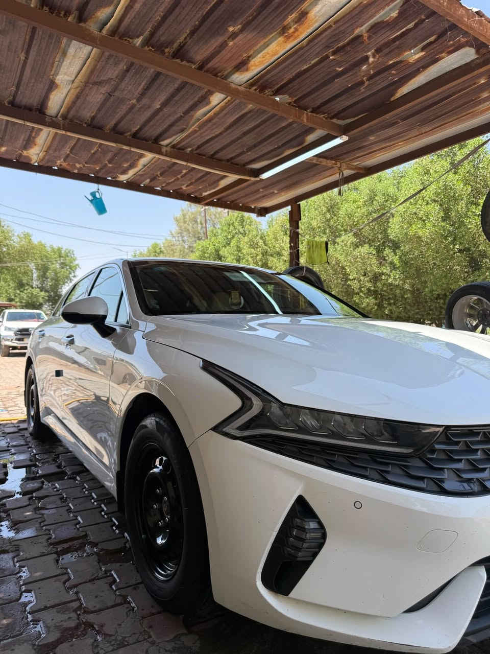للبيع K5  موديل23 
رقم بغداد بأسمي تحويل ثاني يوم 

كفاله عامة ما عدى طخه بالهلال الخلفي  بسيطه حيييل وگرن البنيد بي ربع اصبع طخه
السياره جاهزه من كلشي ومعروفه موصفاتها ماشيه 108 

للاستفسار ***********

