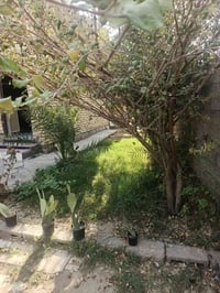 بيت مساحه ٣٥٠ زراعي  ركن سبعه نيسان الجسر الجديد قريب على السياسين كام...