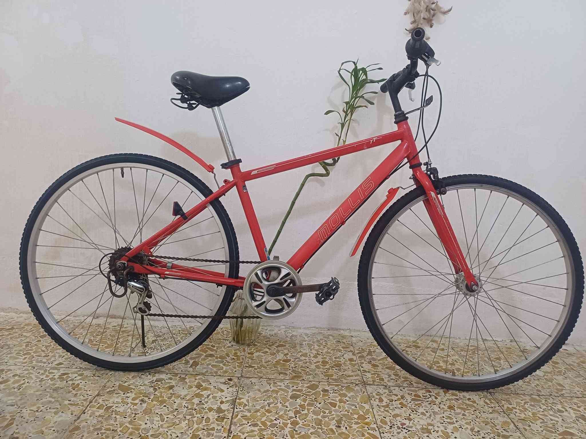 للبيع بايسكل ياباني C700حجم 27 تايرات جدد ام خط الازرك
بريكات شغاله 
كير ابو الشاشه شغال 
كشن طبي
ويل امامي ابو الحساس  (( السعر 85 الف ))
المكان بغداد البنوك او الكياره ***********
