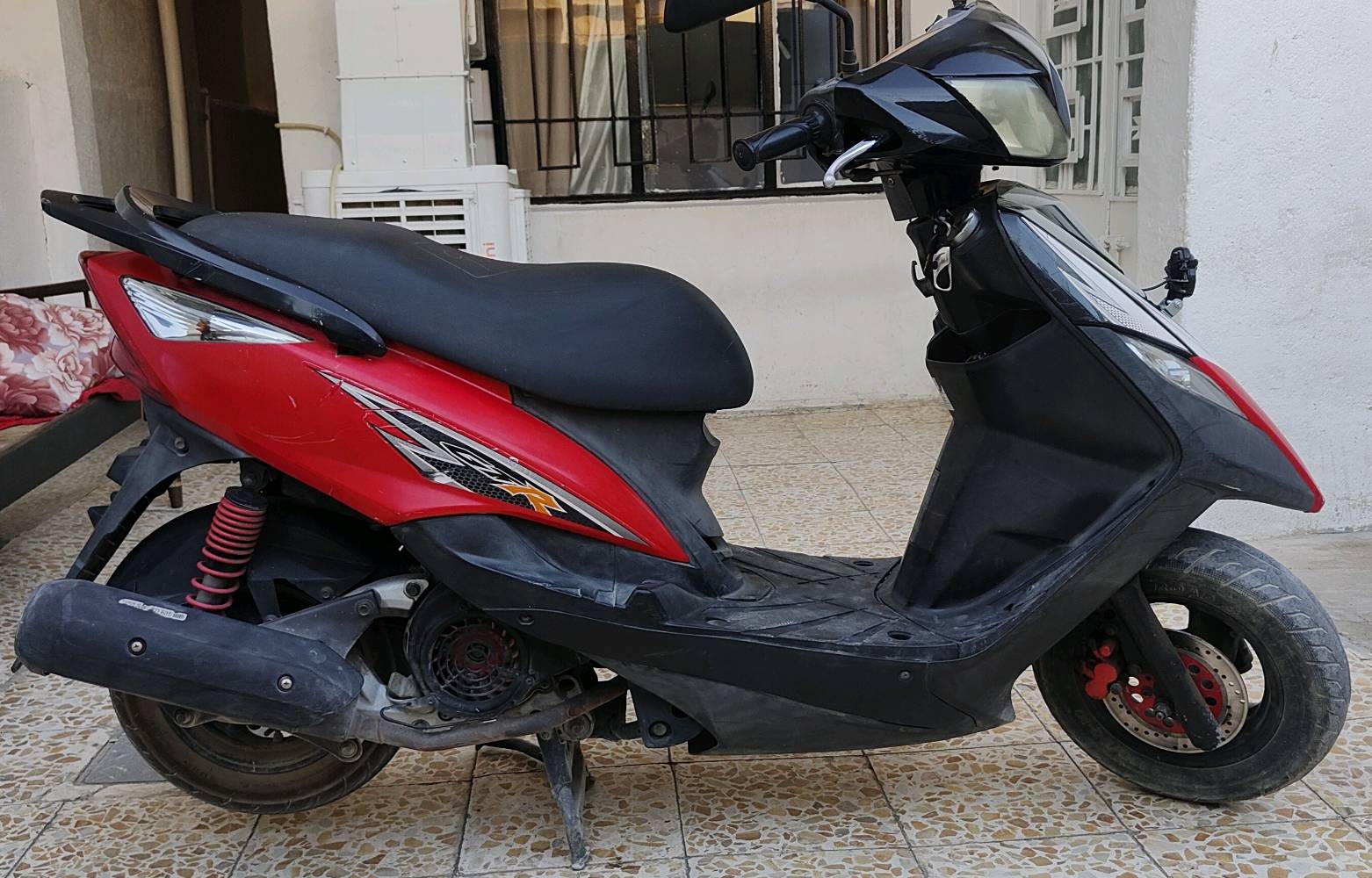 ثعلب gtr رمبة مكفولة السعر 700 للتواصل ***********