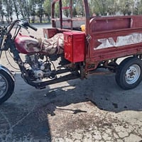 ستوته • موديل ٨ • اوراق اصولي
