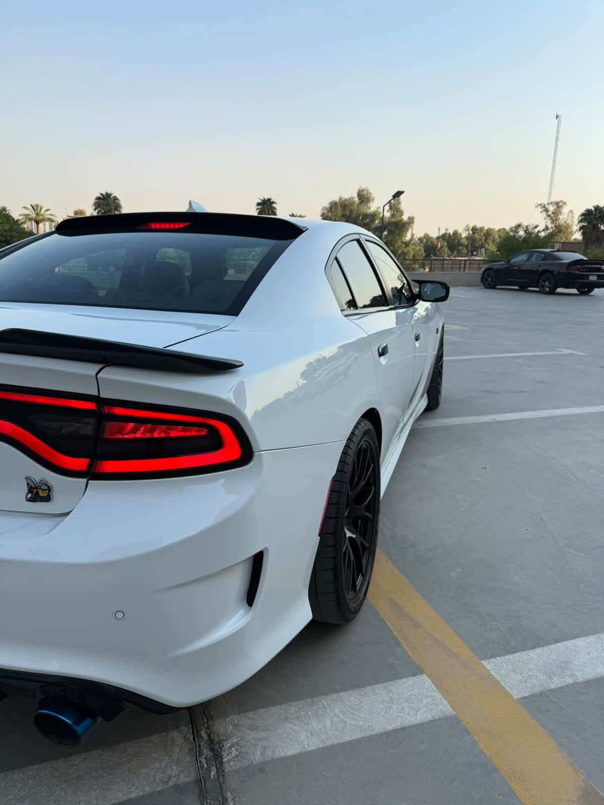 سلام عليكم شباب 
جارجر سكات باك للبيع 
موديل 2022 
اللون ابيض 
مكينه V8 / 6400ccm
ماشيه : 40 m 
رقم بغداد بأسمي والتحويل ثاني يوم 
المواصفات 
——————————-
كشنات كنتاره احمر مختم ( سكات باك ) 
فجوج بريمبو 6 بستم 
اكسل قفل 3.9 
كير 8 نمر 
دبات موبار سود
شاشه كار بلي 
كشنات تدفئه تبريد 
4 مودات قياده 
ذاكرة خزن ميموري 
حساسات خلفيه + جانبيه 
كامره خلفيه 
وباقي مواصفات السكات باك معروفه 
الأضافات 
———————————
لدات اوركال متغير 
وسقف روز رايز

حادثها 
——————————-
جاملغ وبنيد فقط 

* علماً السياره مناقصها اي شي جاهزه مجهزه 
* لا بيها تكحيل ولا بارد وكشرها كلش حلو 
السعر  ورقه وبالعافيه على الي ياخذها
السعر 215وبيها مجال بسيط 
مكاني بغداد / المنصور
هاذا رقمي ***********
