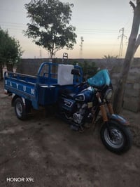 ستوته • ٢٠١٣ • أوراق