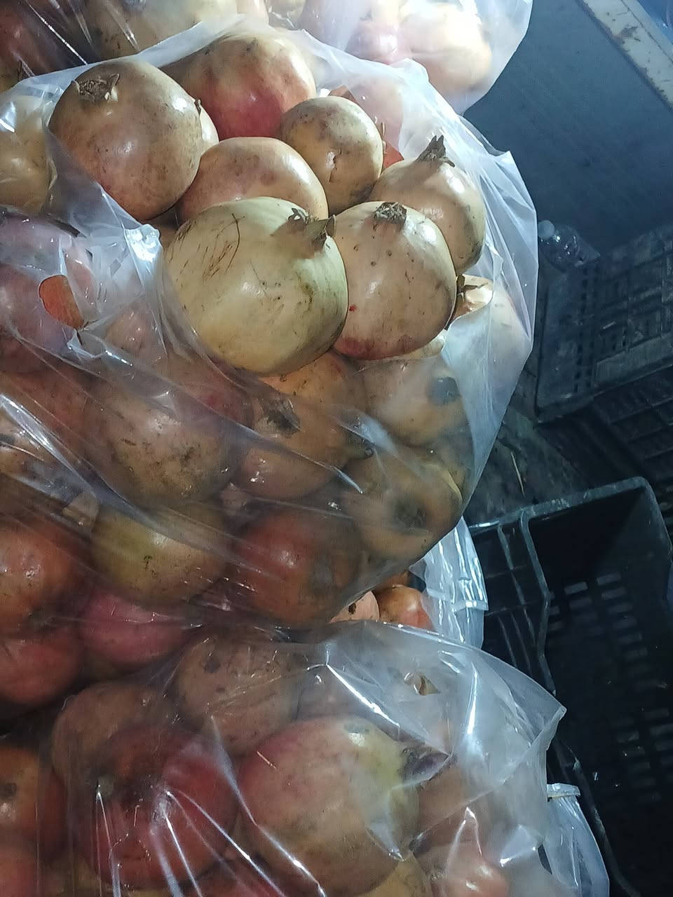 رمان • عوينات • اكل وعصير