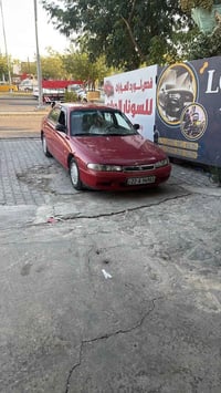 فاصوليا • صبغ حزام • بدون دواخل