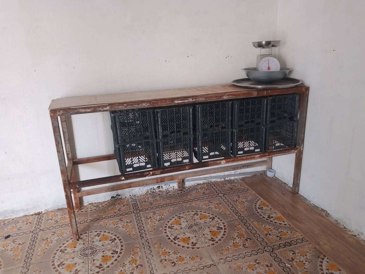 فلافل • بركر • ميز ٣م