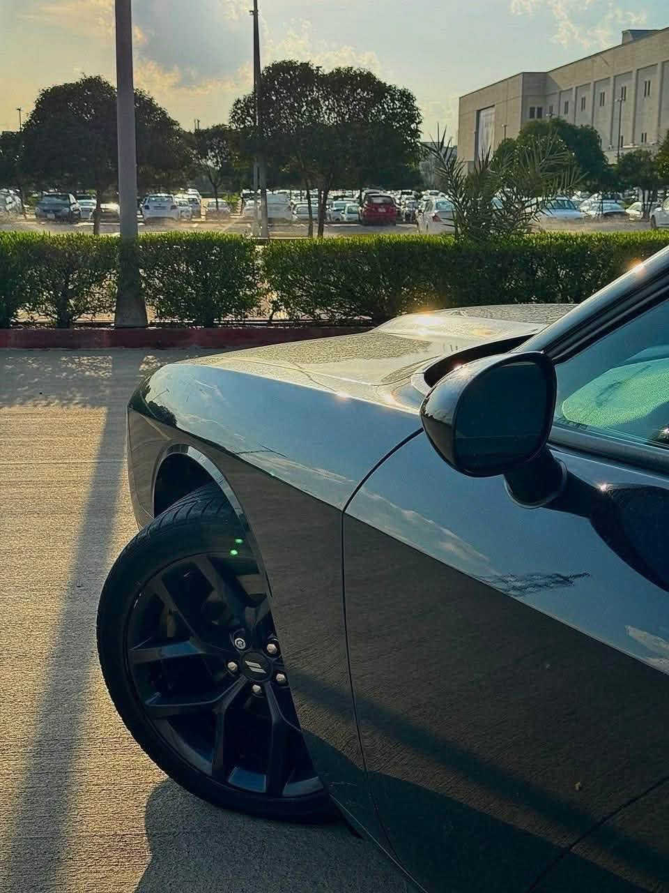 جالنجر كلين GT 2021
2021 track pack black edition
مواصفات سوبر تراك شاشة كبيرة
دبلات وبريكات تخم كامل RT بلادي سماعات ALPINE كشنات حضن
ماشية 27ميل
السيارة على وضع الشركة برغي ما مفتوح بيها
سيارة مكفولة من الدعامية للدعامية بدون حادث بدون تبديل بدون صبغ بدون بارد
السعر 256
***********
