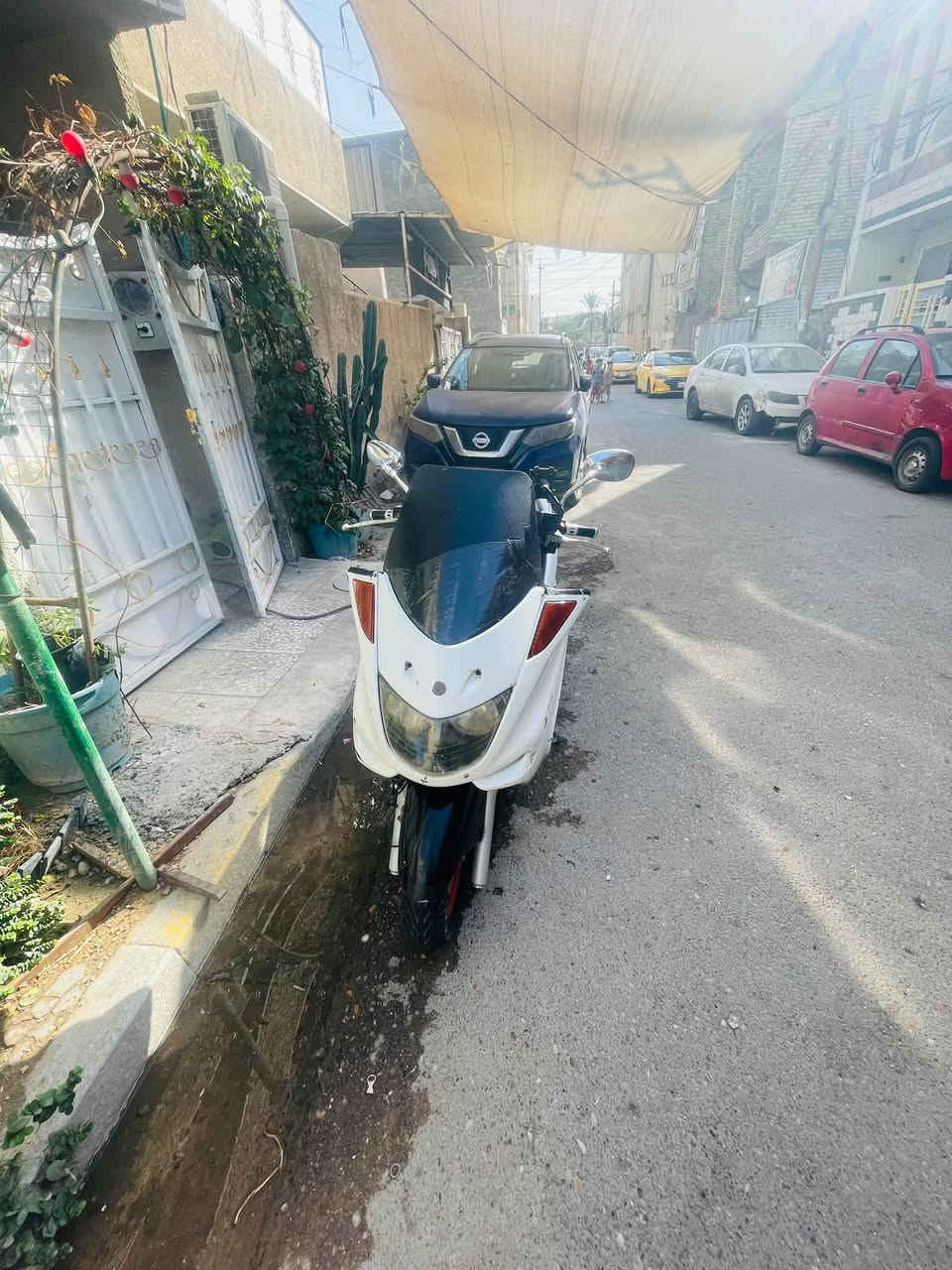 ماجسته • دبل راديتر • تشتغل