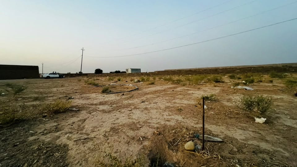 الطيوب • ٣٠٠م • واجهة ١٥م