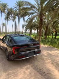 K4 • وارد امريكي • النجف