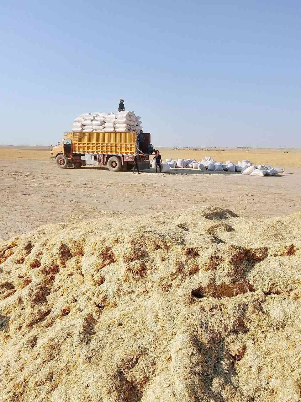 تبن • نضافة • سكران الغربي
