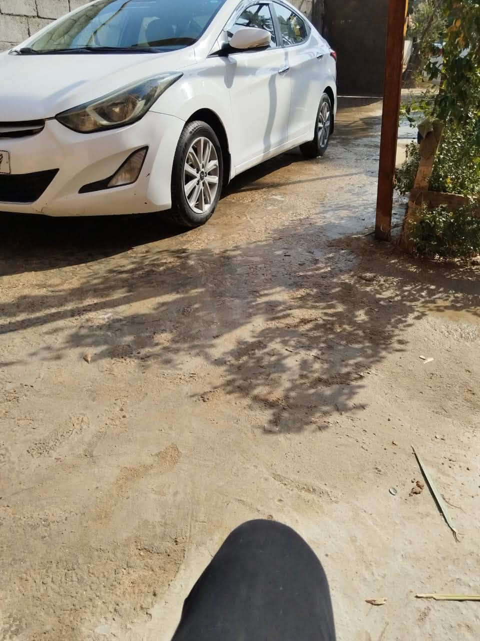 لنتره • ٢٠١٥ • طوريج