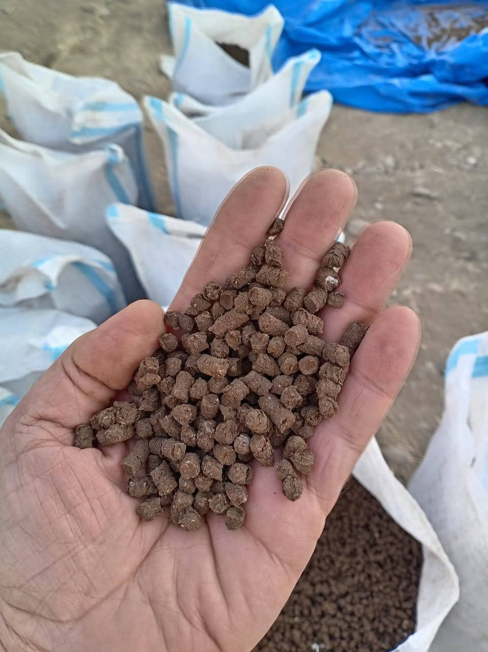 بما انو الاسمدة الزراعية  غالية
وفرنالكم سماد عضوي شرط العمل والتگربة وب  اسعار منخفضة 
الاسعار 400 الف الطن مع التوصيل 
التفاصيل
والمكونات  سماد عضوي  
( 1 )مكون من درج غنم درج بقر مخمر مدة 3 اشهر خالي من النباتات الضارة وبتنقية عالية 
(2) درج دواجن لحم درجة اولى وبتنقية وكبس عالي الدقة
(3) مواد صغرة مال داب  فوسفات بوتاسيوم  نتروجين
كيفية الاستعمال
ينثر ب ناثرة
طن لكل عشرة دونم  
ويعطي مادة لثاني سنة
وشرط التگربة ما يقارب 5 سنوات
والانتاج لدى المعمل  يزيد لكل سنة
والانتاج مثل ما واضح ب الصورة 
الاستفسار والطلب الاتصال ع الرقم
***********
مع الواتساب

