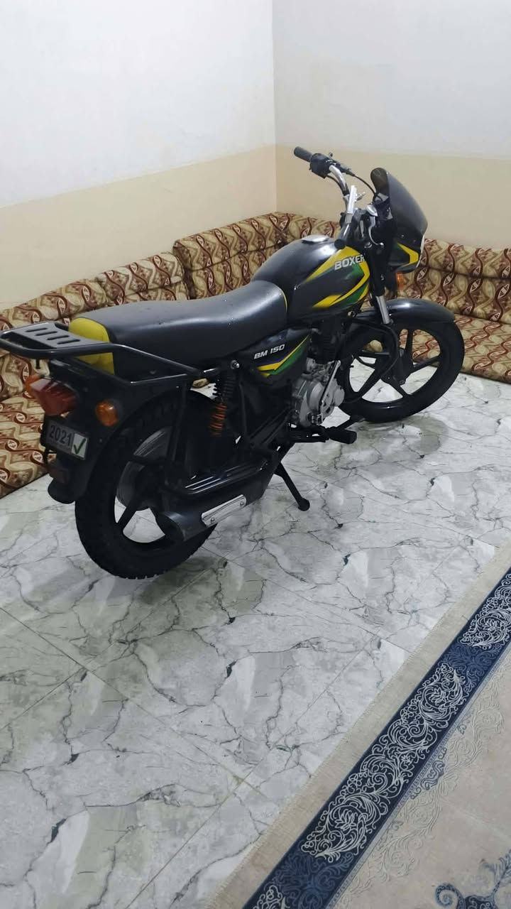 بوكسر • موديل ٢١ • كفاله عامه