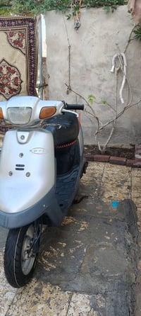 بطة • ما مفتوحه • سلف