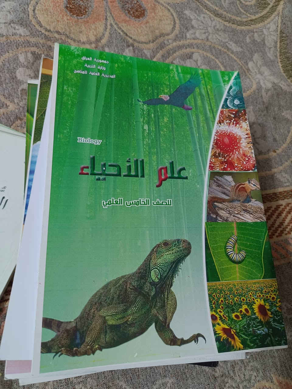 كتب خامس • مجموعة كاملة • جديدة