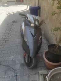 ثعلب • نكره • كفر امامي