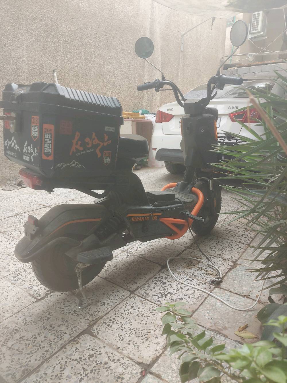 ريان • نضيفه • حجم ١٤